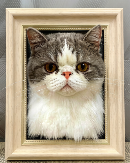 Cat Framed Portrait ( Head)